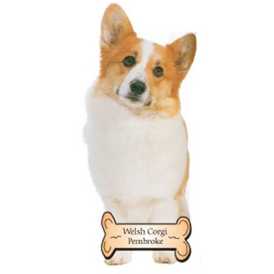 Welsh Corgi Dog Maxi Magnet (2 Square Inch)