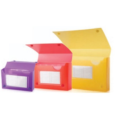 Assorted Frosted Index Card Case (3 ½" x 5 ¼" x 1 ½")