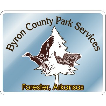 5" X 4" Kwik-Ship Chrome Polyester Screen Print Round Corner Decal