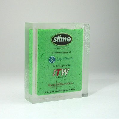 Lucite® Embedment and Entrapment Award (5" x 6" x 1 1/2")