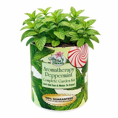 Aromatherapy Peppermint Garden in Eco-Friendly Grocan