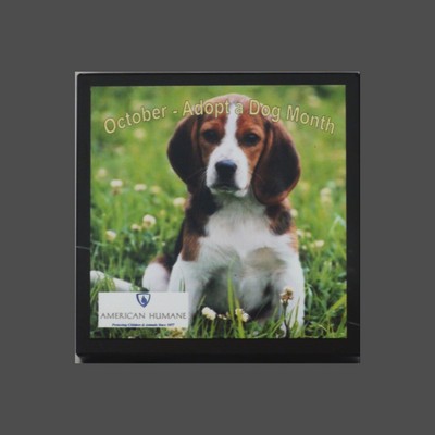 Black Marble Full Color Paperweight (3"x3")