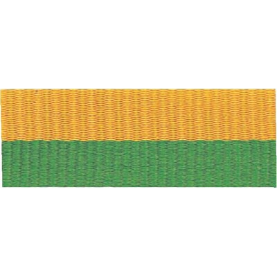 Green/Gold Neck Ribbon w/Snap Clip (7/8")