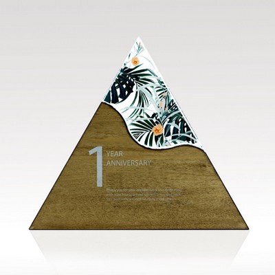 Triangle Acrylic & Wood Award - Medium