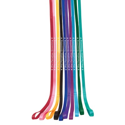 4' Personalized 1-Sided Pet Leads