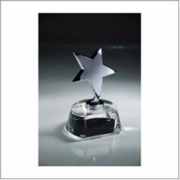 Star Award w/Crystal Horseshoe Base