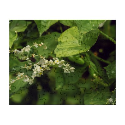 30 Piece Jigsaw Photo Puzzle