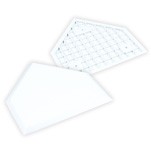 White Home Plate without Spikes; Box
