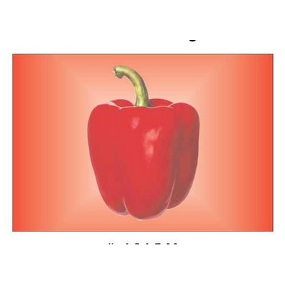 Bell Pepper Rectangle Metal Photo Magnet (2"x3")