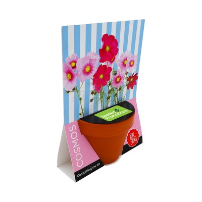 Terracotta Grow Kit - Flowers For You