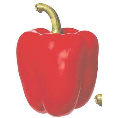 Red Bell Pepper Maxi Magnet (6 Square Inch)