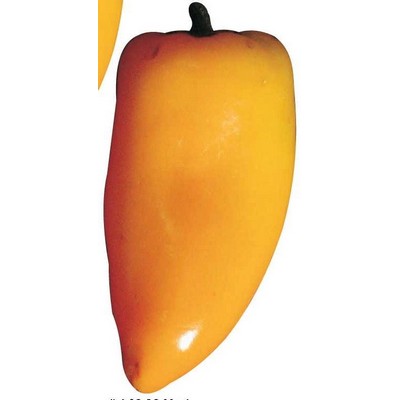 Yellow Chili Pepper Maxi Magnet (12 Square Inch)