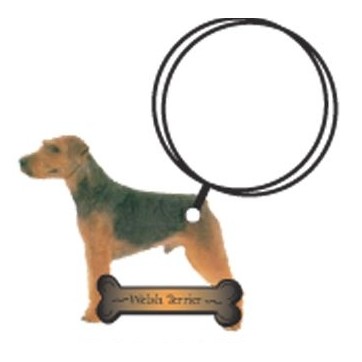 Welsh Terrier Keychain w/Mirrored Back (10 Square Inch)