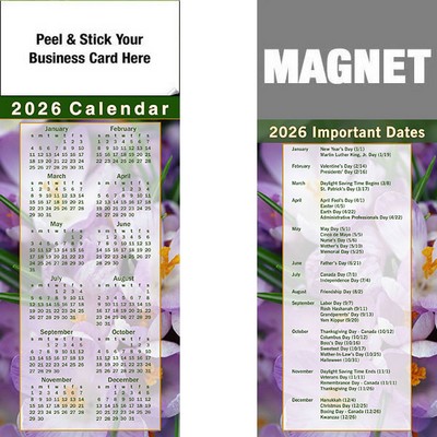 Peel & Stick Full Color Calendar Magnet (3 1/2"x8 1/2")