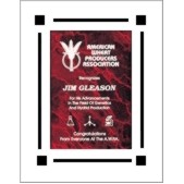 Clear Acrylic Frame Plaque w/ Red Marble Center - 9"x11"