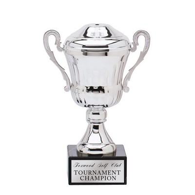 Silver Metal Trophy Cup on Marble Base