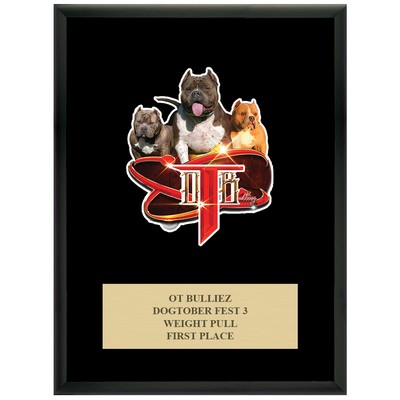 Black Full Color Plaque w/Engraved Plate (9"x12")