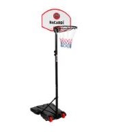 Custom Freestanding Basketball Hoop