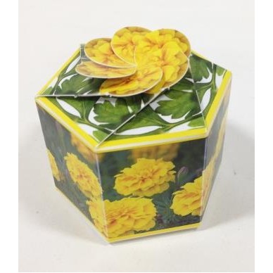 SeedGems™ Paper Planter® Marigold 'Lemon Gem' Biodegradable Grow Kit