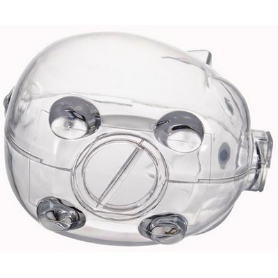 Clear Plastic Piggy Bank