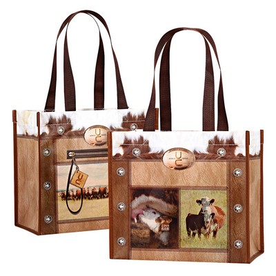 Top-Notch Full-Color Laminated Non-Woven Promotional Gift Bag (12"x10"x6")