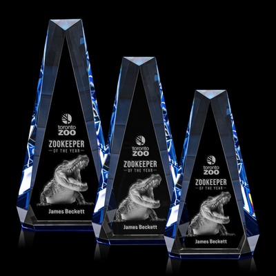 Carmel 3D Award - Blue