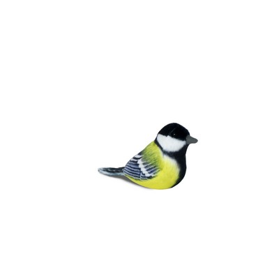 Black and Yellow Parus
