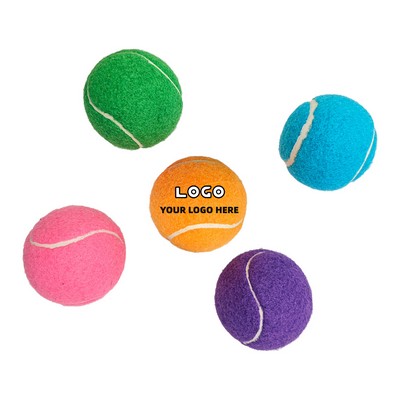 Pet Training Tennis Ball