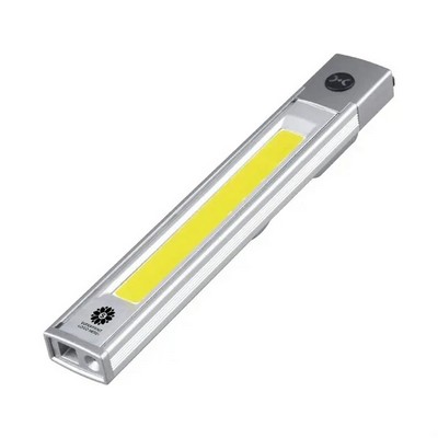 Multifunctional Laser Pointer Flashlight