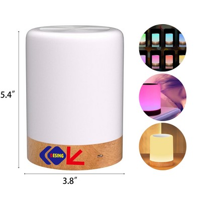 Night Light Touch Lamp