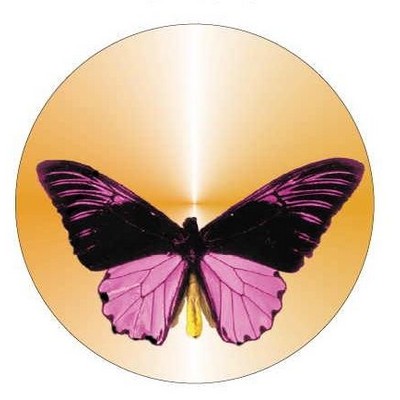 Black & Purple Butterfly Round Metal Photo Magnet (2 1/2")