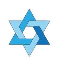 Star Of David Lapel Pin