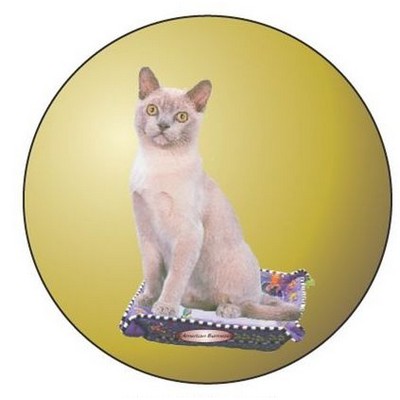 American Burmese Cat Round Metal Photo Magnet (2 1/2")