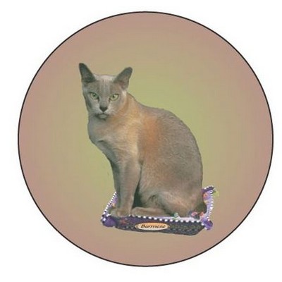 Burmese Cat Round Metal Photo Magnet (2 1/2")