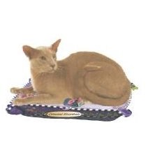 Oriental Shorthair Cat Lapel Pin