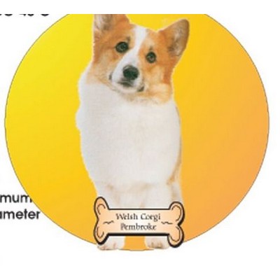 Welsh Corgi Dog Acrylic Coaster w/Felt Back