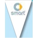 60' Dealer Identity Pennant String - Smart®