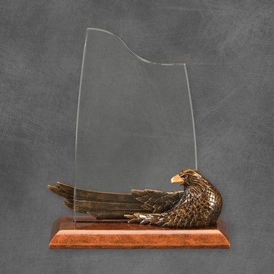 Acrylic Eagle Eye Award 8"H