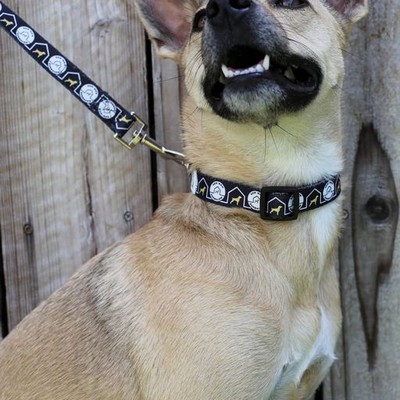 Custom 4' Nylon Dog Leash