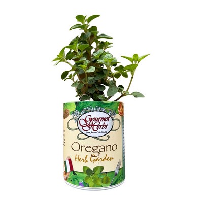 Oregano Garden in Eco-Friendly Grocan