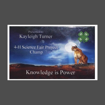 White Marble Paperweight (2½"x4")