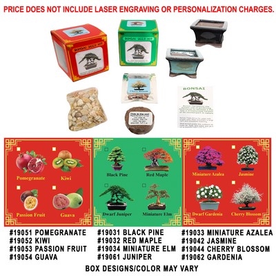 Gardenia Bonsai Seed Kit