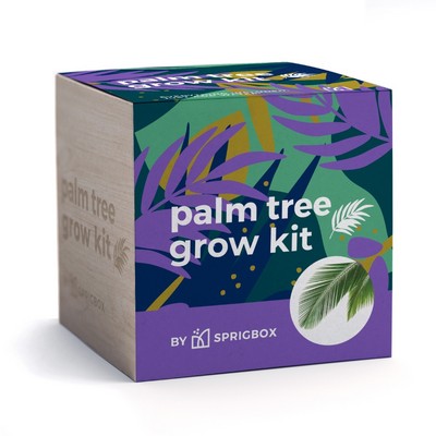 Palm Tree Grow Kit | Solid Wood Planter Cube | Eco-Friendly