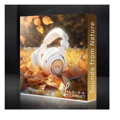 Backlit SEG Display Single Sided