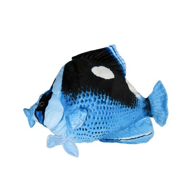 Blue and Black Butterfly Fish
