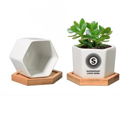Ceramic Hexagonal Succulent Planter with Drainage Hole