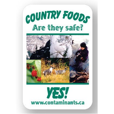 Rectangular Stock Shape Magnet w/Round Corners (2"x3")