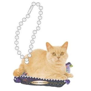 British Shorthair Cat Promotional Key Chain w/ Black Back (8 Square Inch)