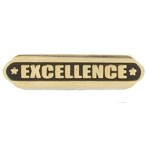 Excellence Stock Die Struck Pin