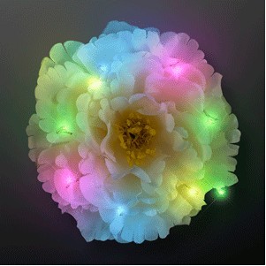 Multicolor Lights Big Bloom Hair Flowers - BLANK